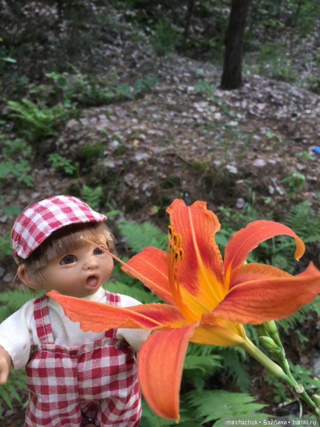 Обед в предгрозовом лесу для Гоши