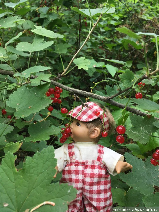 Обед в предгрозовом лесу для Гоши (фото 5)