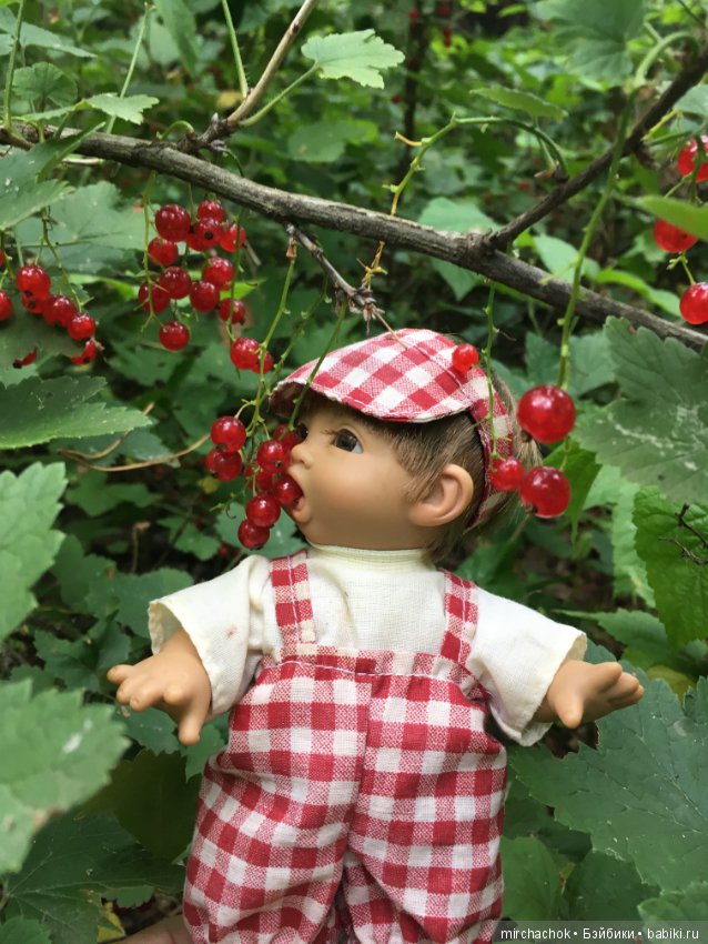 Обед в предгрозовом лесу для Гоши (фото 7)