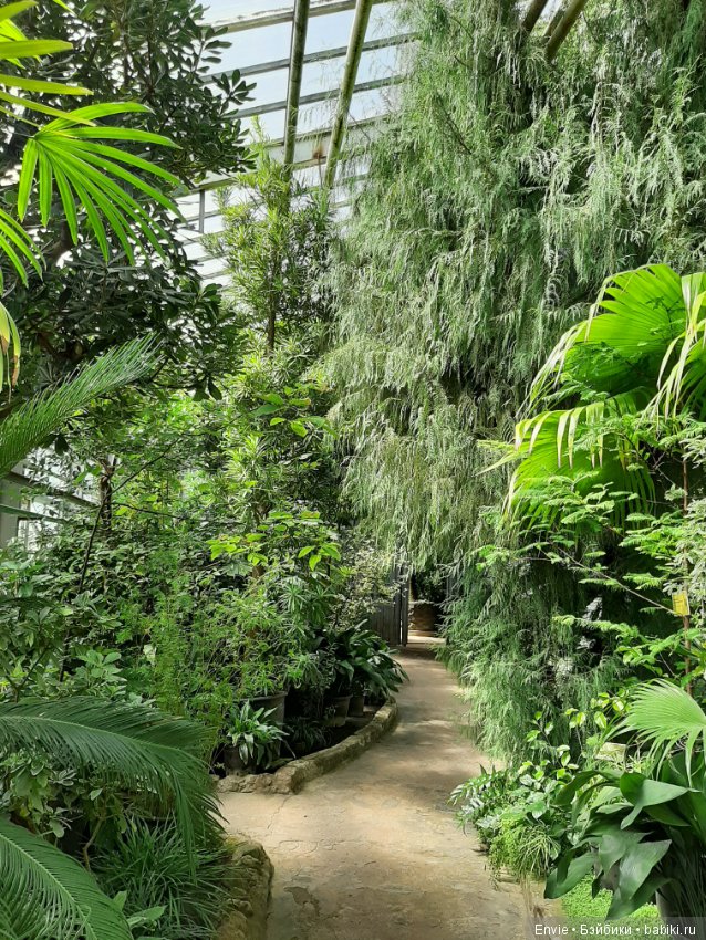 Фондовая оранжерея Главного ботанического сада им. Н. В. Цицина РАН (Московские тропики) и Фрекен Снорк