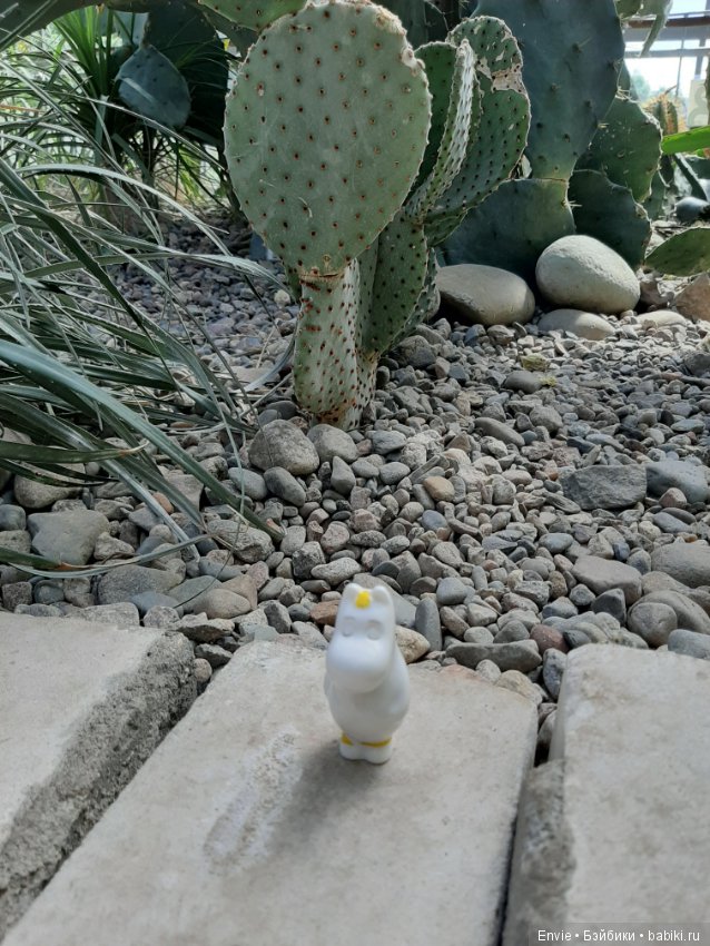 Фондовая оранжерея Главного ботанического сада им. Н. В. Цицина РАН (Московские тропики) и Фрекен Снорк