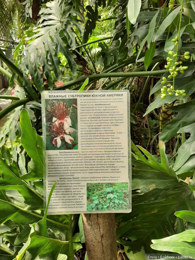 Фондовая оранжерея Главного ботанического сада им. Н. В. Цицина РАН (Московские тропики) и Фрекен Снорк