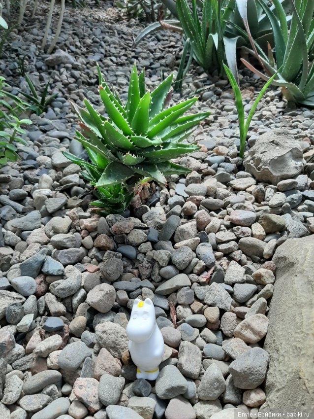 Фондовая оранжерея Главного ботанического сада им. Н. В. Цицина РАН (Московские тропики) и Фрекен Снорк