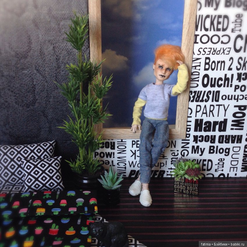 Феликс обустраивает свой холостяцкий быт (фото 3)