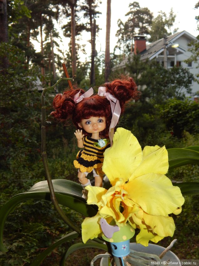 Маленькая пчелка — Куклы Nikki Britt (Никки Бритт): авторские BJD (БЖД)
