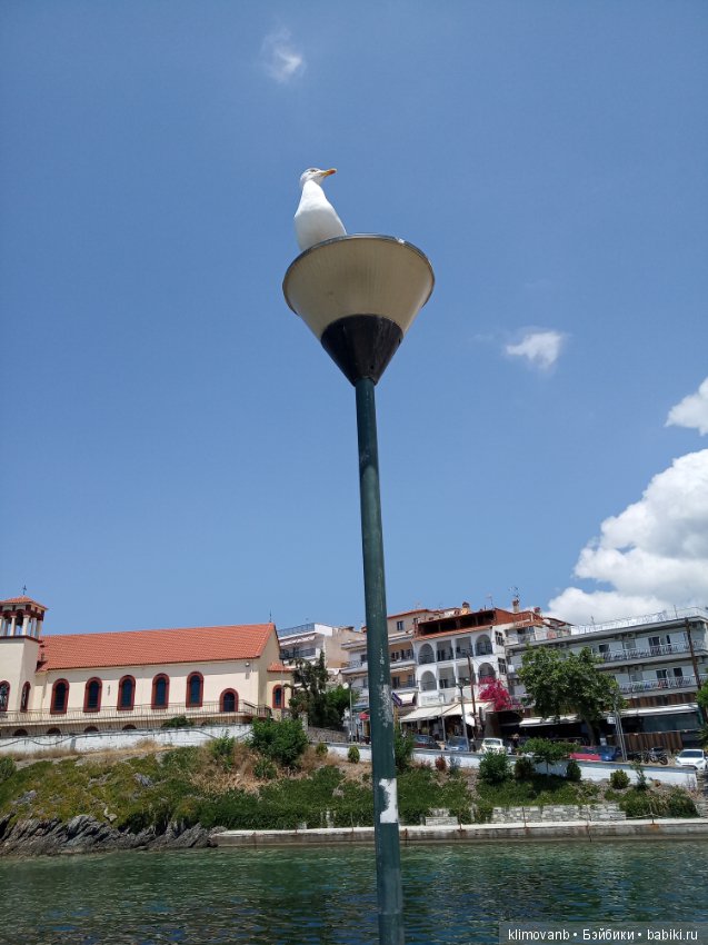 Отпуск. Море. Счастье — Болталка и разговоры обо всем: жизнь