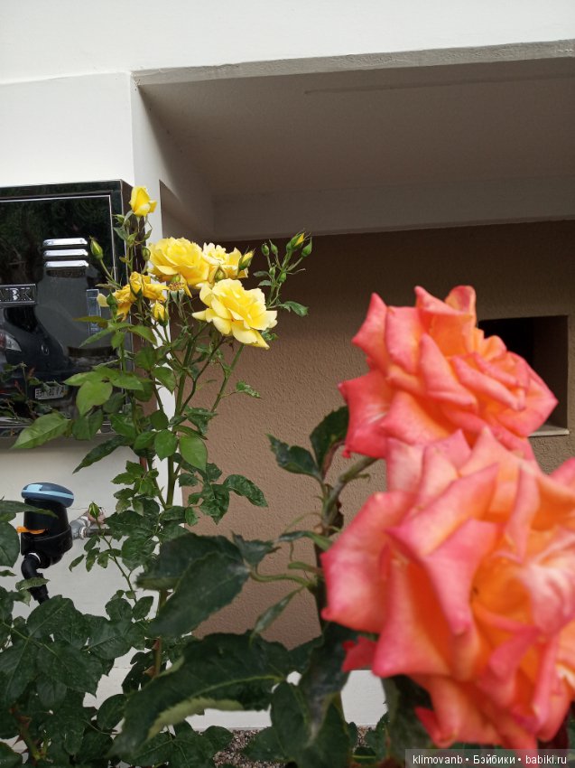 Отпуск. Море. Счастье — Болталка и разговоры обо всем: жизнь