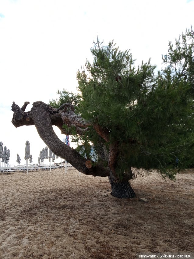 Отпуск. Море. Счастье — Болталка и разговоры обо всем: жизнь