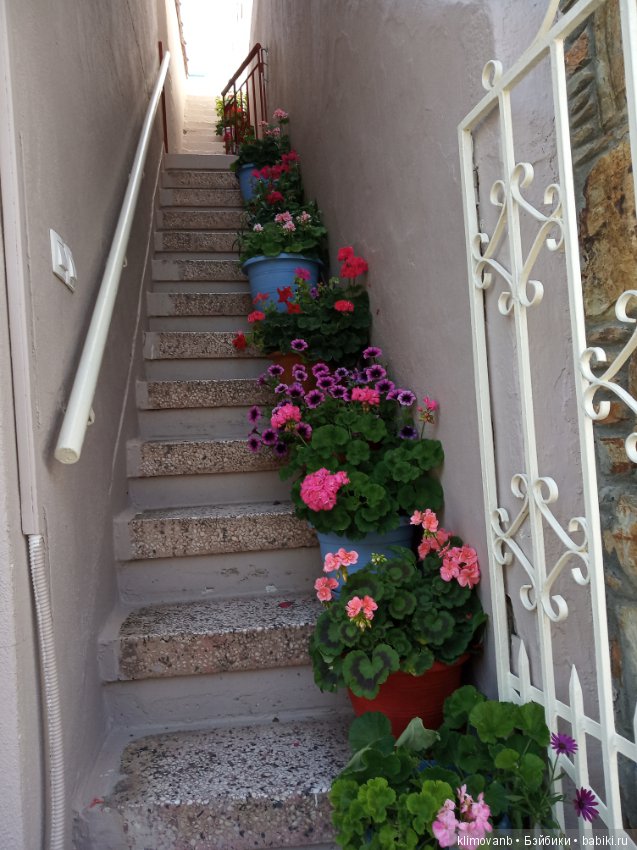 Отпуск. Море. Счастье — Болталка и разговоры обо всем: жизнь