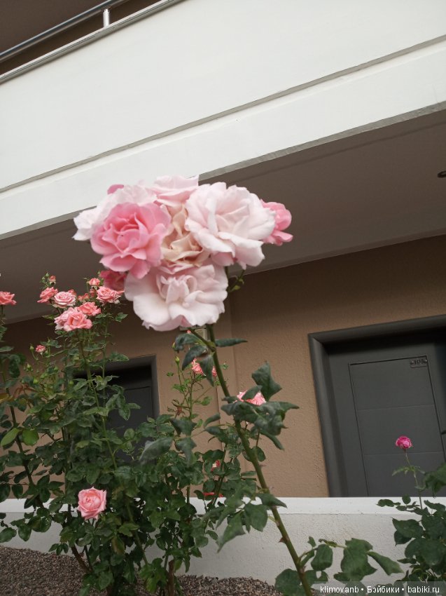 Отпуск. Море. Счастье — Болталка и разговоры обо всем: жизнь