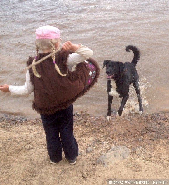 День собак! Поздравляю — Болталка и разговоры обо всем: жизнь