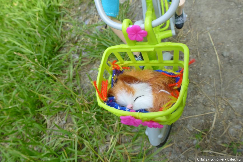 Мисс Бэйбики 2019. Презентация Анны Штэрн