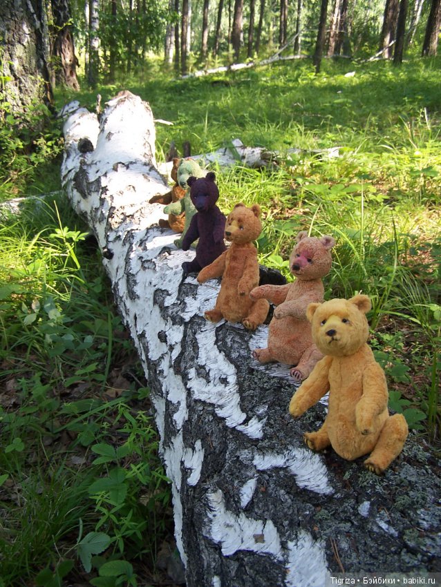 Медвежий корпоратив — Авторские мишки Тедди и друзья: фото (фото 5)