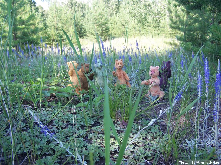 Медвежий корпоратив — Авторские мишки Тедди и друзья: фото