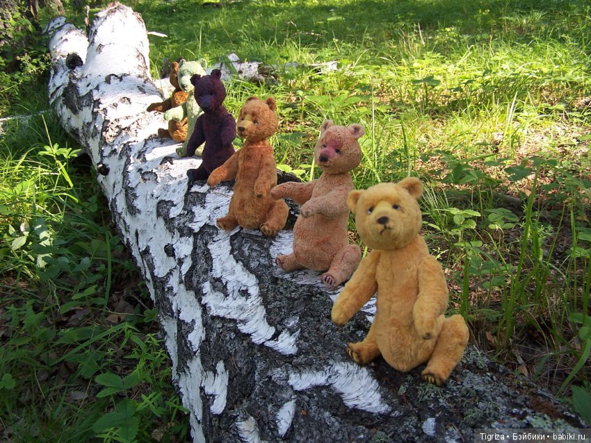 Медвежий корпоратив — Авторские мишки Тедди и друзья: фото (фото 4)