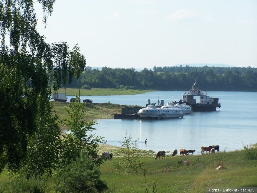 Медвежий корпоратив — Авторские мишки Тедди и друзья: фото (фото 3)