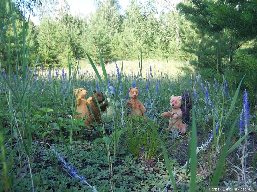 Медвежий корпоратив — Авторские мишки Тедди и друзья: фото