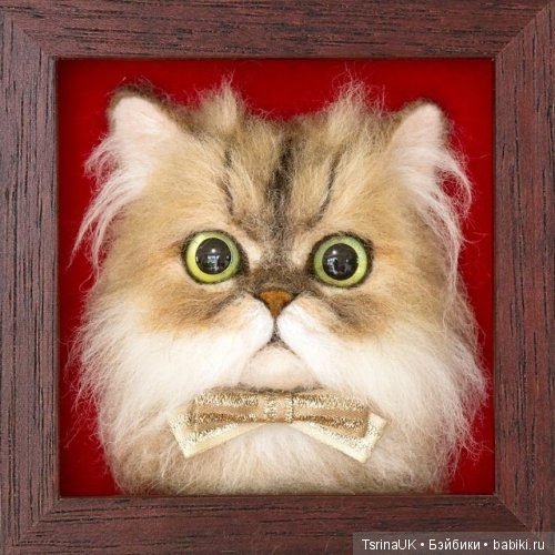 Трёхмерные войлочные портреты кошек (фото 8)