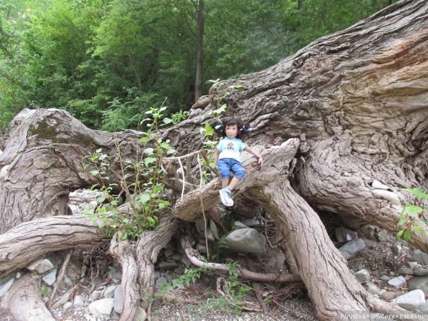 Лиэнночки на юге. Часть вторая. Девочки идут в горы