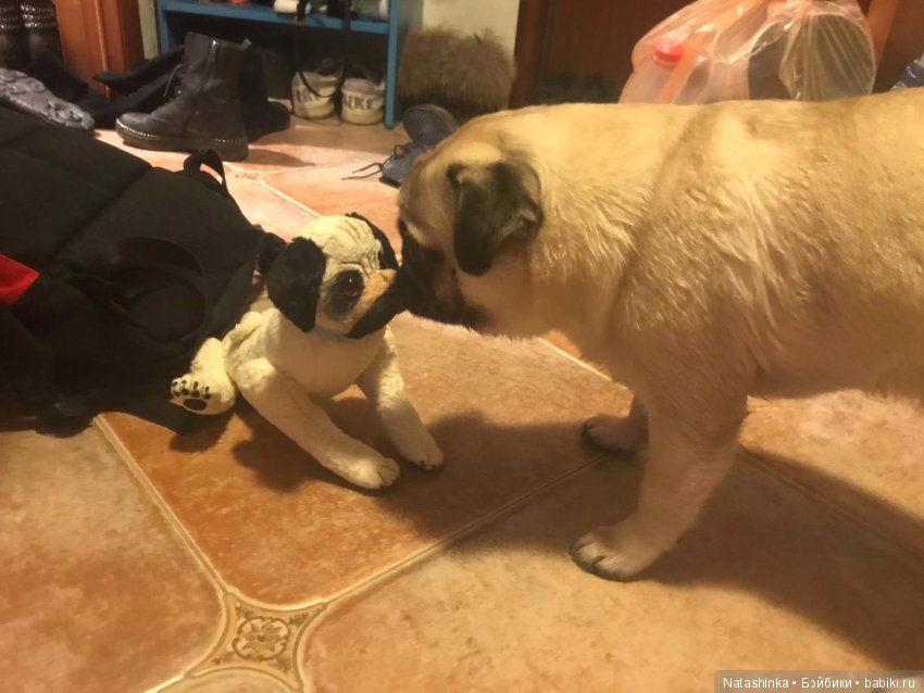 Аделина, Афродита, Инге и Мэри-Роуз - Fassion.Girls (фото 2)