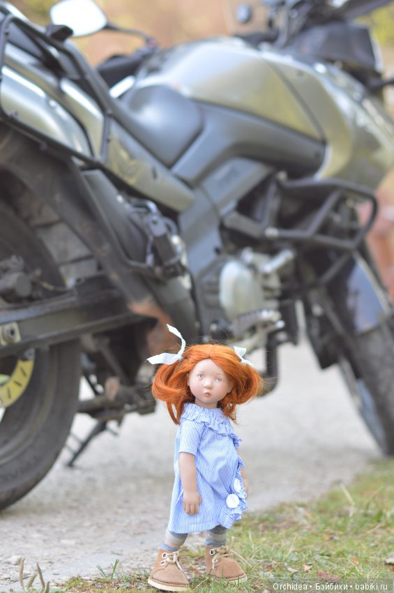 Иногда они возвращаются. Рыжие Zwergnase (фото 5)