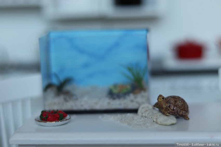 Шуша - крошечная домашняя черепашка