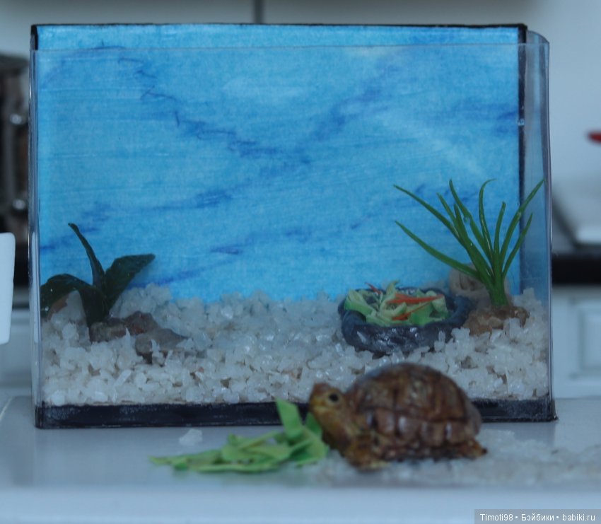 Шуша - крошечная домашняя черепашка (фото 6)