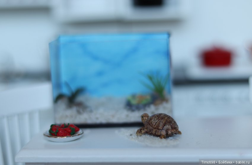 Шуша - крошечная домашняя черепашка (фото 4)