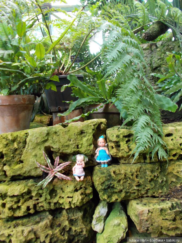 В Аптекарском Огороде — Куклы Simba: Еви (Evi) и Штеффи (Steffi Love)