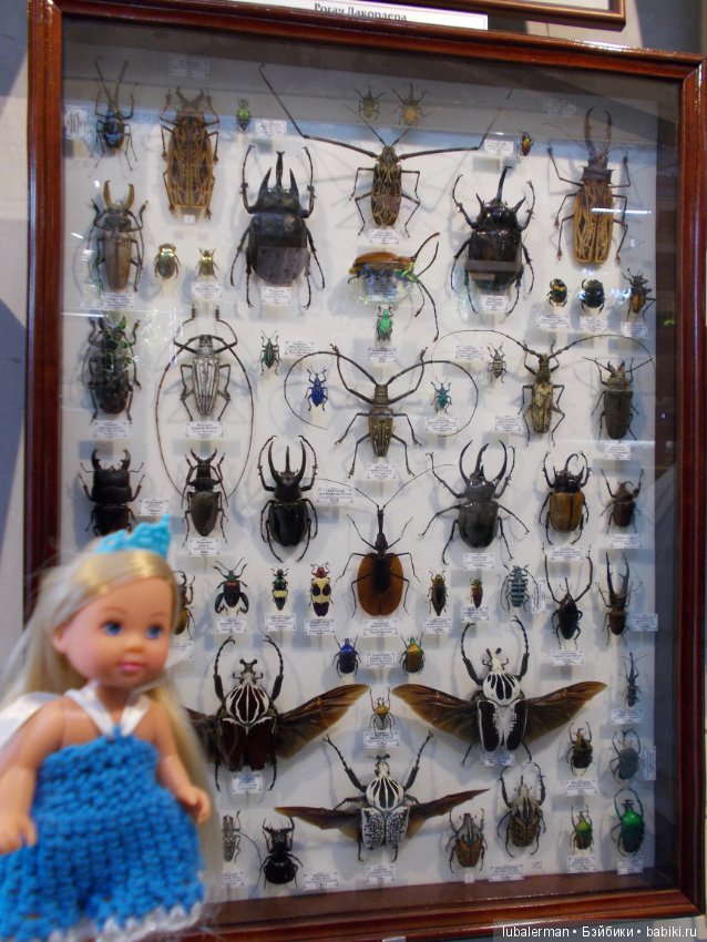 В Аптекарском Огороде — Куклы Simba: Еви (Evi) и Штеффи (Steffi Love) (фото 2)