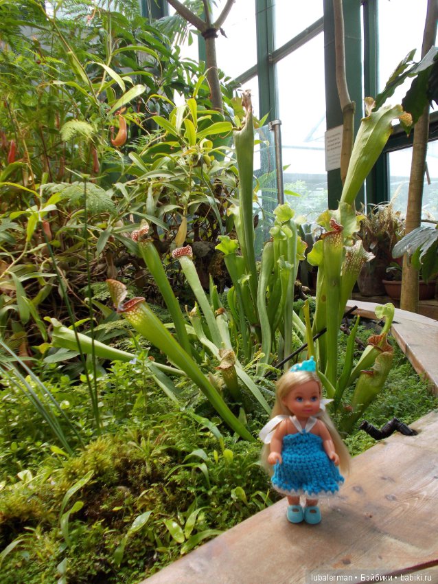 В Аптекарском Огороде — Куклы Simba: Еви (Evi) и Штеффи (Steffi Love)