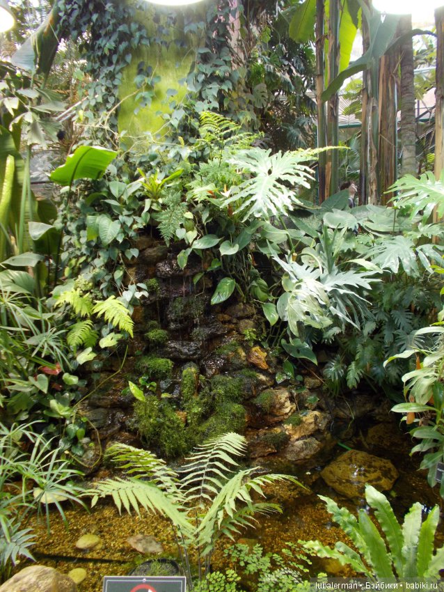 В Аптекарском Огороде — Куклы Simba: Еви (Evi) и Штеффи (Steffi Love)