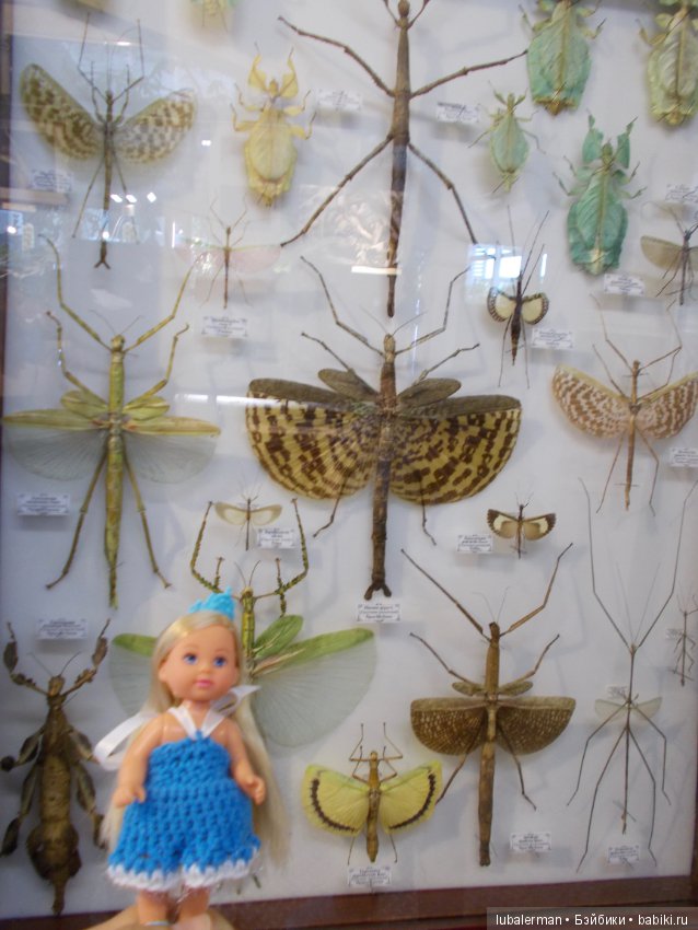 В Аптекарском Огороде — Куклы Simba: Еви (Evi) и Штеффи (Steffi Love) (фото 3)