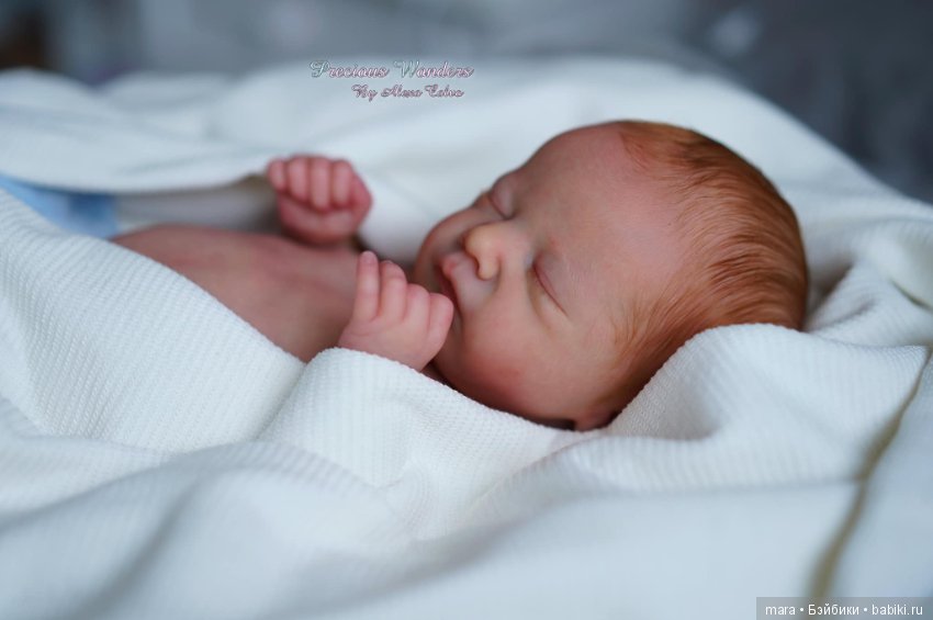 Charlotte скульптора Laura Lee Eagles, автор прототипа Alexa Calvo