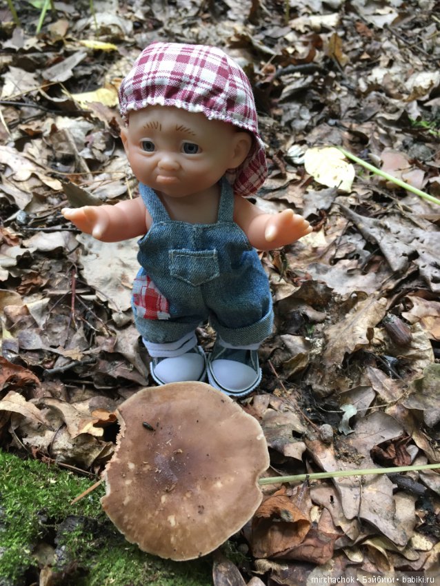 Данька искал грибы, а нашёл змею (фото 6)