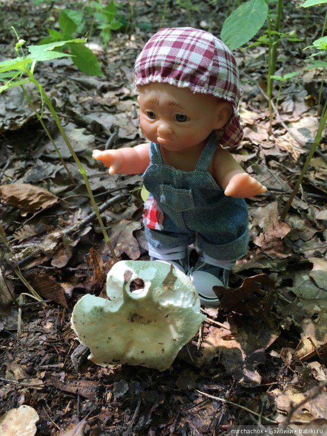 Данька искал грибы, а нашёл змею (фото 4)