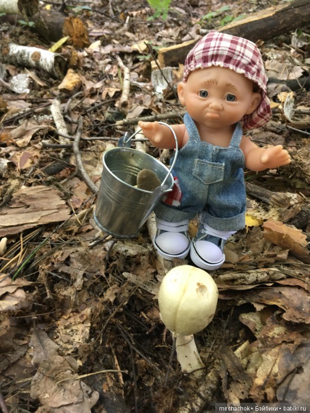 Данька искал грибы, а нашёл змею (фото 2)