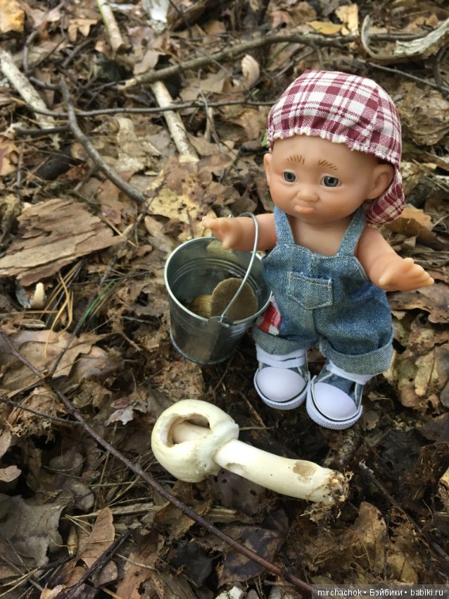 Данька искал грибы, а нашёл змею (фото 3)