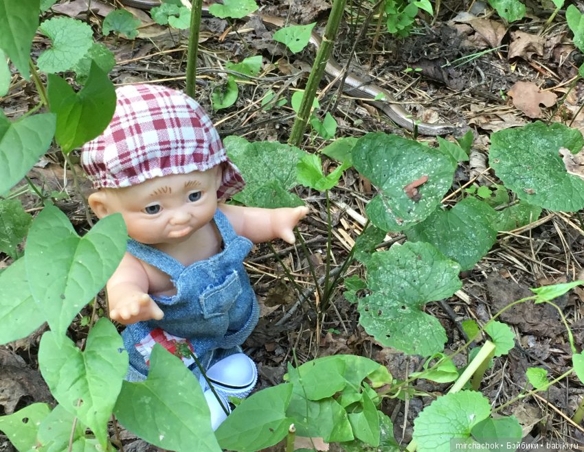 Данька искал грибы, а нашёл змею (фото 9)