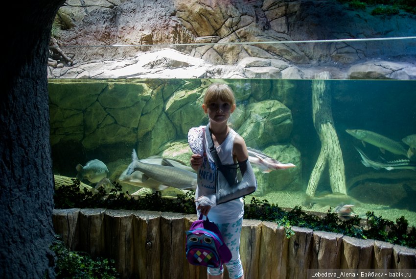 Воронежский океанариум — В мире животных: смешные фото питомцев и зверей