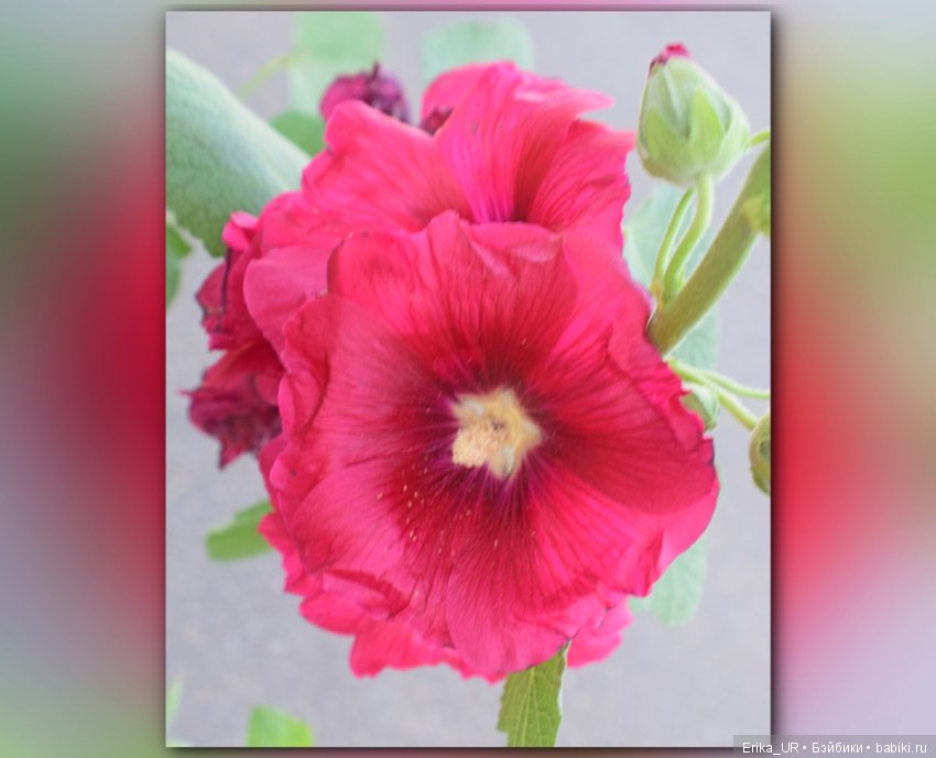 Сопутствующее куклам увлечение. 19.07.2019