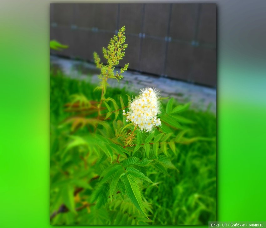 Сопутствующее куклам увлечение. 19.07.2019