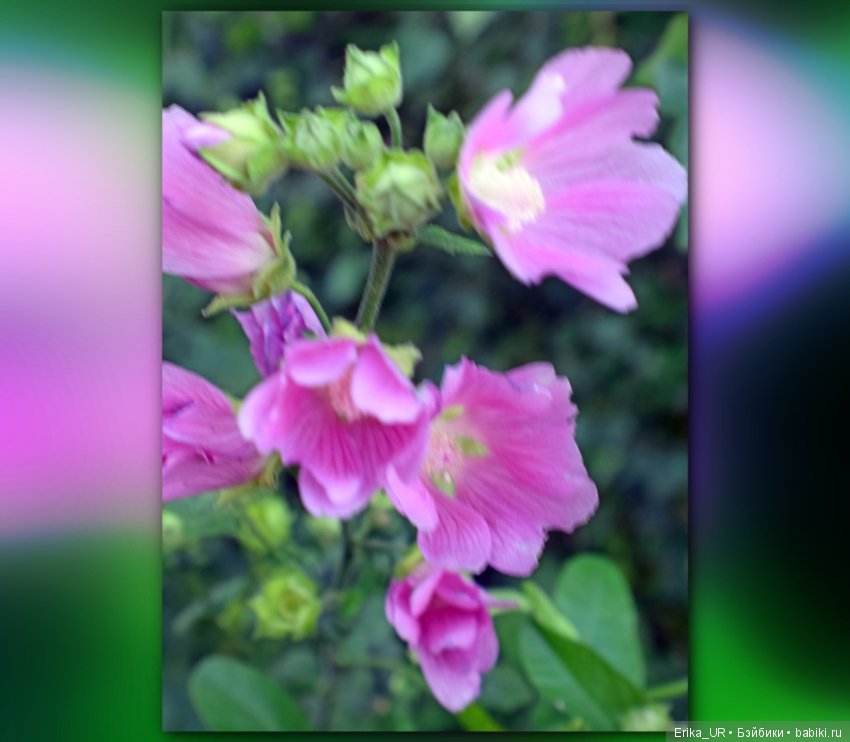 Сопутствующее куклам увлечение. 19.07.2019