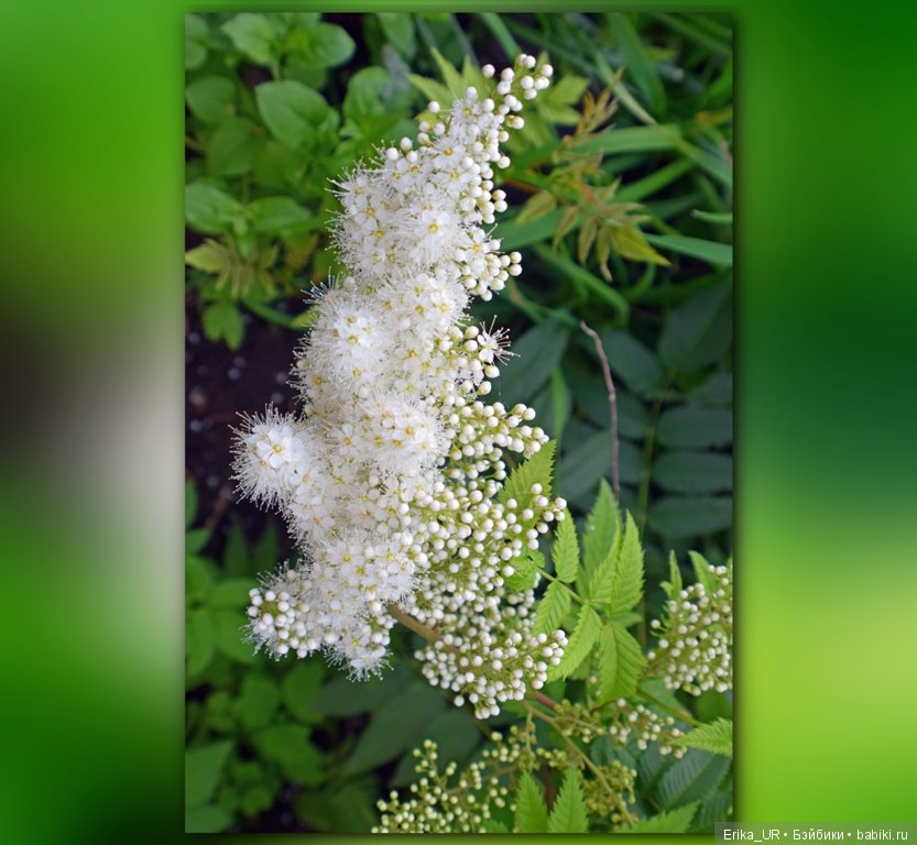 Сопутствующее куклам увлечение. 19.07.2019