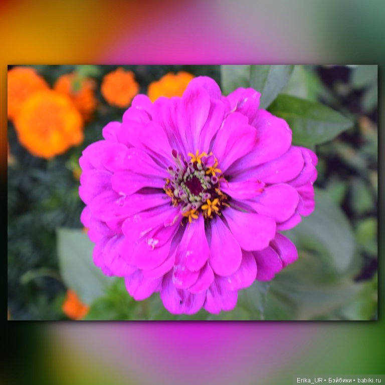 Сопутствующее куклам увлечение. 19.07.2019