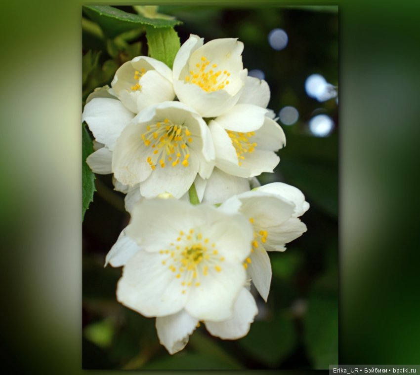 Сопутствующее куклам увлечение. 19.07.2019 (фото 9)