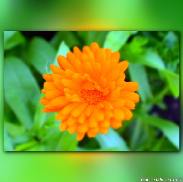 Сопутствующее куклам увлечение. 19.07.2019