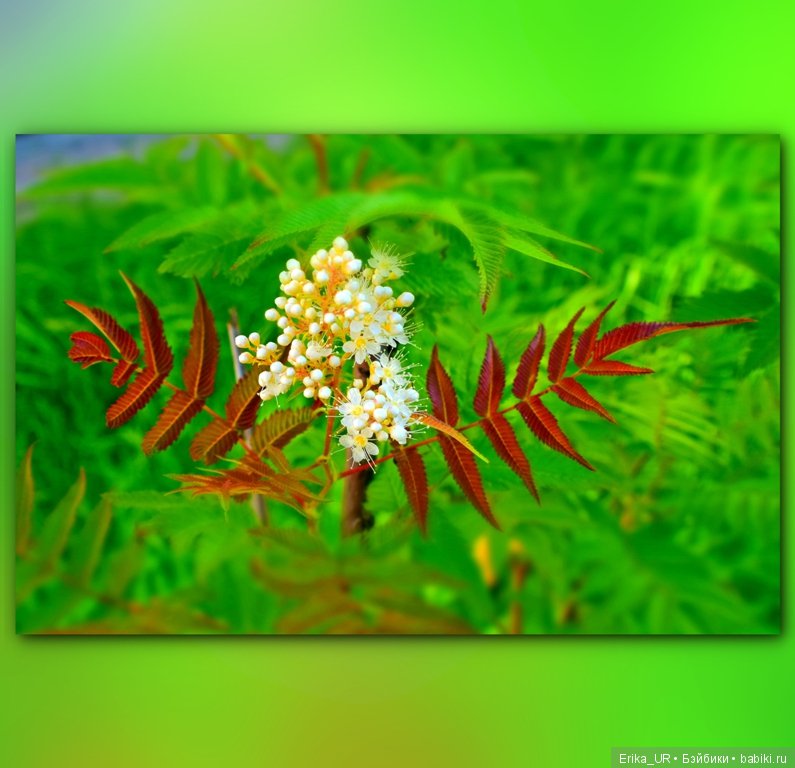 Сопутствующее куклам увлечение. 19.07.2019 (фото 3)