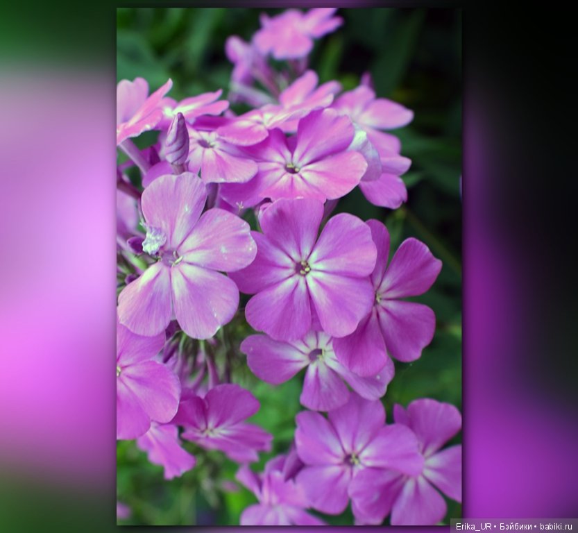 Сопутствующее куклам увлечение. 19.07.2019 (фото 4)