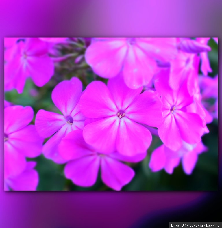 Сопутствующее куклам увлечение. 19.07.2019